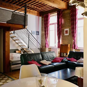 Le Loft Des Canuts Appartement